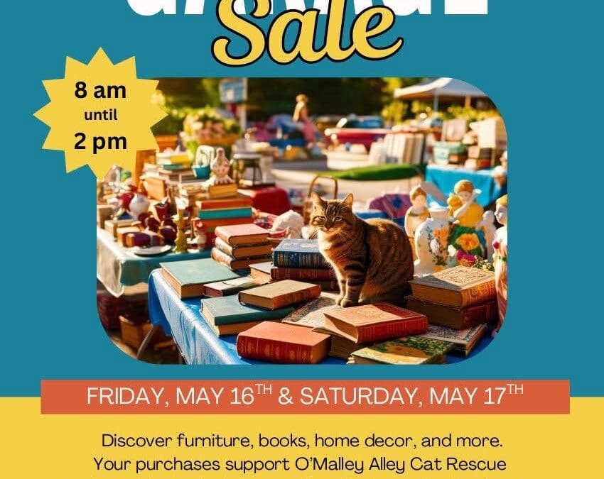O’Malley Alley Cat Rescue Annual Garage Sale Fundraiser