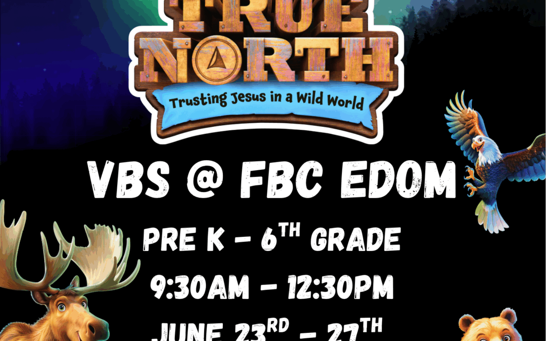True North VBS