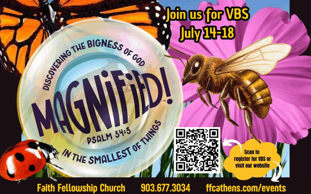 Magnified VBS
