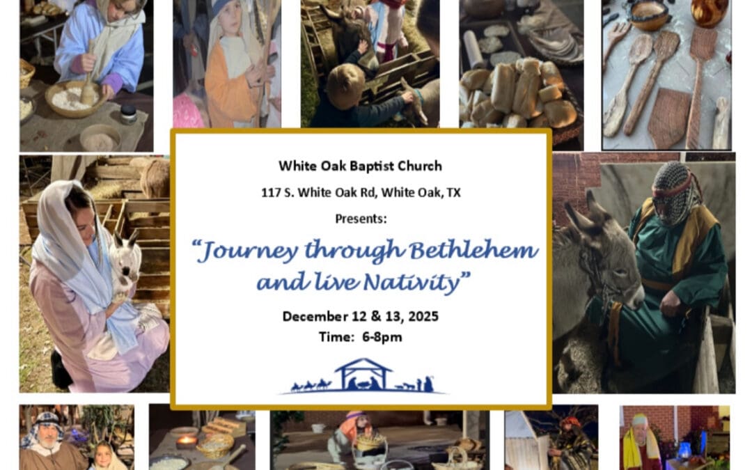 Journey through Bethlehem and Live Nativity