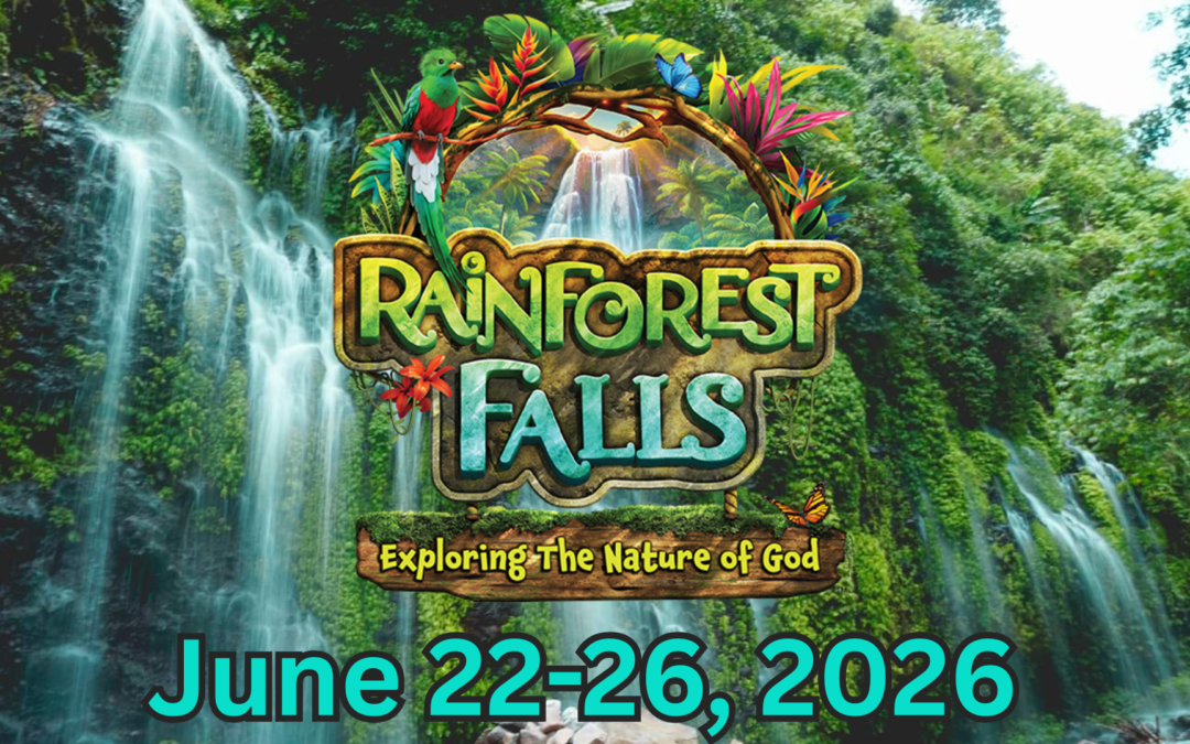 Rainforest Falls at HBC